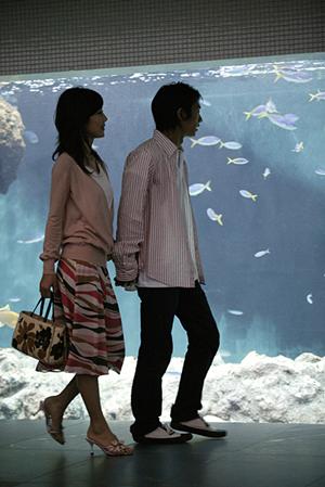 相手の気持ちがわかる婚活サイト