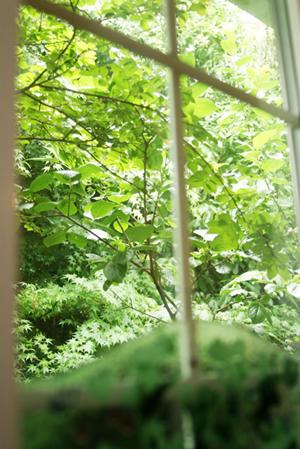 福岡で結婚指輪をお探しの方へ